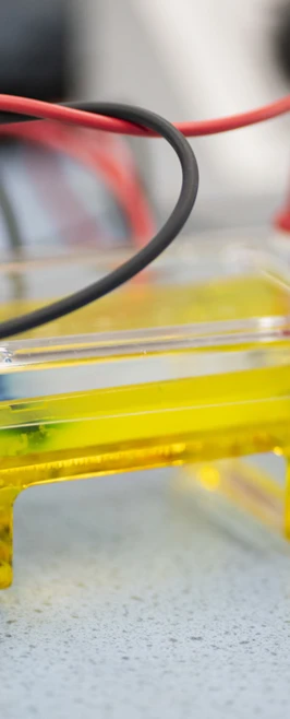 A close-up of a yellow gel electrophoresis chamber with red and black wires attached, sitting on a blue lab bench and ready for a hands-on science experiment A close-up of a yellow gel electrophoresis chamber with red and black wires attached, sitting on a blue lab bench and ready for a hands-on science experiment